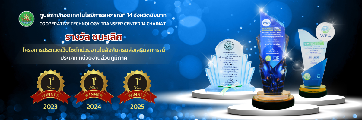 The Winner Web 66-67