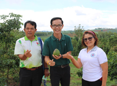 ลงพื้นที่เยี่ยมแปลงเกษตรผสมผสาน เช่น อะโวคาโด ข้าวโพด พริก ... พารามิเตอร์รูปภาพ 11