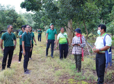 ลงพื้นที่เยี่ยมแปลงเกษตรผสมผสาน เช่น อะโวคาโด ข้าวโพด พริก ... พารามิเตอร์รูปภาพ 14