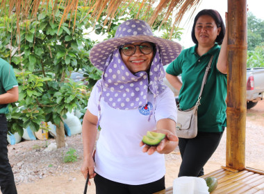 ลงพื้นที่เยี่ยมแปลงเกษตรผสมผสาน เช่น อะโวคาโด ข้าวโพด พริก ... พารามิเตอร์รูปภาพ 2