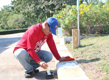 กิจกรรมปรับปรุงภูมิทัศน์สถานที่ big cleaning day “5 ส.” ... พารามิเตอร์รูปภาพ 7