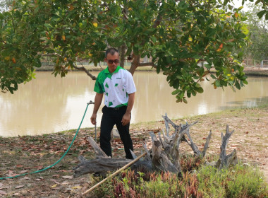 ร่วมกันจัดกิจกรรม &quot;Big Cleaning Day&quot; อย่างพร้อมเพรียงกัน ... พารามิเตอร์รูปภาพ 10