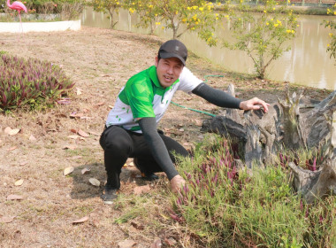 ร่วมกันจัดกิจกรรม &quot;Big Cleaning Day&quot; อย่างพร้อมเพรียงกัน ... พารามิเตอร์รูปภาพ 1