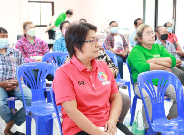 (Strong Coop Model : SCM) ระยะที่ 2 ขั้นตอนที่ 6 ณ ... พารามิเตอร์รูปภาพ 13