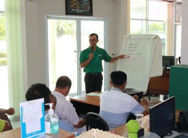 (Strong Coop Model : SCM) ระยะที่ 2 ขั้นตอนที่ 6 ณ ... พารามิเตอร์รูปภาพ 16