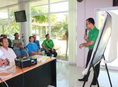 (Strong Coop Model : SCM) ระยะที่ 2 ขั้นตอนที่ 6 ณ ... พารามิเตอร์รูปภาพ 17