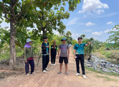 ถ่ายทำวิดีทัศน์ (VTR) ลานกระบือโมเดล ... พารามิเตอร์รูปภาพ 10