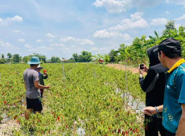 ถ่ายทำวิดีทัศน์ (VTR) ลานกระบือโมเดล ... พารามิเตอร์รูปภาพ 11