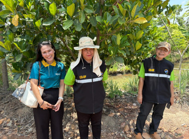 ถ่ายทำวิดีทัศน์ (VTR) ลานกระบือโมเดล ... พารามิเตอร์รูปภาพ 16