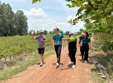 ถ่ายทำวิดีทัศน์ (VTR) ลานกระบือโมเดล ... พารามิเตอร์รูปภาพ 17