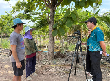 ถ่ายทำวิดีทัศน์ (VTR) ลานกระบือโมเดล ... พารามิเตอร์รูปภาพ 5