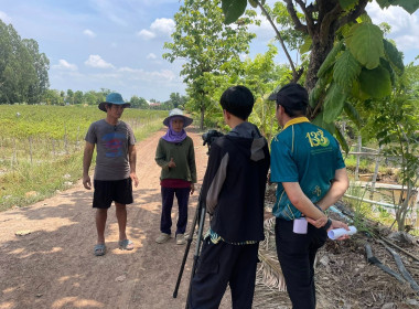 ถ่ายทำวิดีทัศน์ (VTR) ลานกระบือโมเดล ... พารามิเตอร์รูปภาพ 8