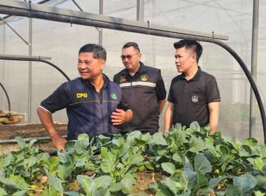 รองอธิบดีฯ ลงพื้นที่ตรวจเยี่ยมสหกรณ์การเกษตรเมืองนครสวรรค์ ... พารามิเตอร์รูปภาพ 7