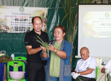 จากไร่อ้อยสู่เส้นใยธรรมชาติ ... พารามิเตอร์รูปภาพ 29